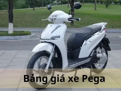 Bảng giá xe máy điện Pega tháng 10/2024 - Cập nhật mới nhất
