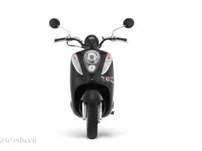Elite 50 có hao xăng không? Đánh giá thực tế từ người dùng