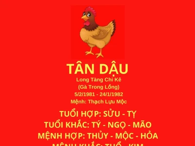 81 Là Gì? Giải Mã Tuổi Tân Dậu 1981 Theo Ngũ Hành