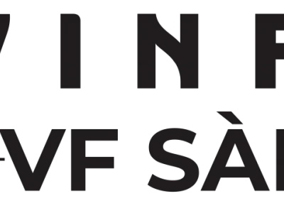Dịch vụ Cứu hộ VinFast: Giải pháp toàn diện cho mọi tình huống