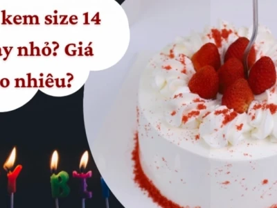 Khám phá Bánh Kem Size 14cm: Kích thước lý tưởng cho mọi bữa tiệc