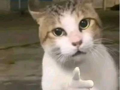 Khám phá kho ảnh meme chỉ tay độc đáo, hài hước nhất 2026