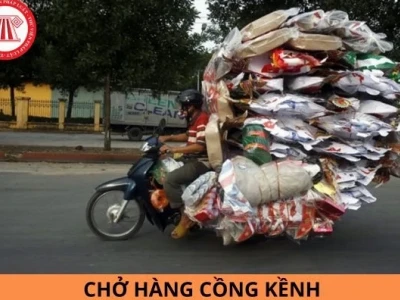 Kích thước xe máy tiêu chuẩn và các yếu tố ảnh hưởng năm 2026
