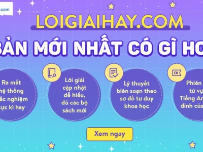 Người lái tàu thủy gọi là gì? Giải đáp chi tiết các chức danh