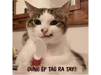 Tổng hợp ảnh mặt hài hước bắt trend giới trẻ 2026