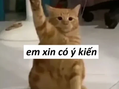 Tổng hợp ảnh meme giơ tay hài hước nhất 2026