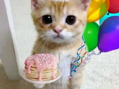 Tổng hợp ảnh meme Happy Birthday hài hước nhất cho năm 2026