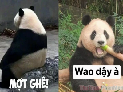 Tổng hợp ảnh meme Trung Quốc hài hước nhất 2026 khiến bạn cười không ngớt