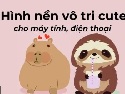 Tổng hợp ảnh nền vô tri: Khi sự ngơ ngác lên ngôi