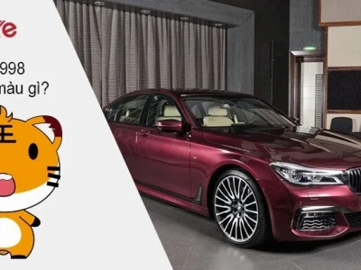 Tuổi Dần 1998 hợp xe màu gì? Chọn màu phong thủy đón tài lộc 2026
