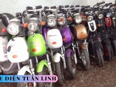 Xe đạp điện 2 triệu: Lựa chọn nào tốt nhất cho bạn năm 2026?