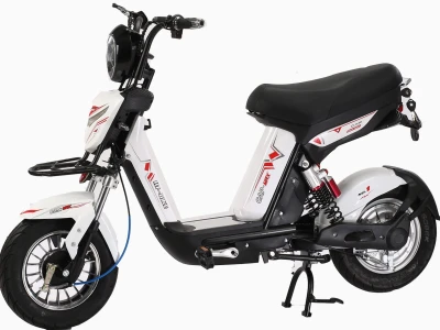 Xe đạp điện giá từ 3 đến 5 triệu: Lựa chọn thông minh cho mọi người