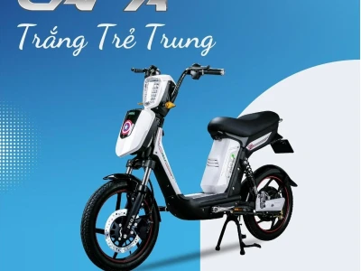 Xe Đạp Điện Pega Cap AS: Đồng Hành Cùng Bạn Trên Mọi Nẻo Đường