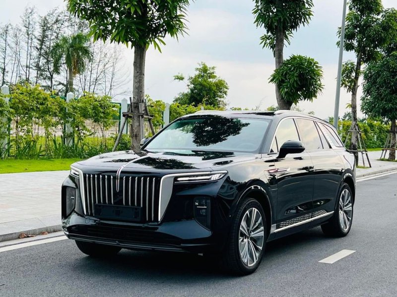 Ảnh xe Hongqi E-HS9 đẹp 33