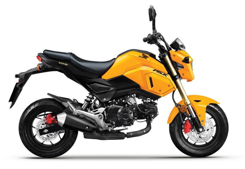 Hình ảnh xe Honda MSX 125 cực ngầu 6