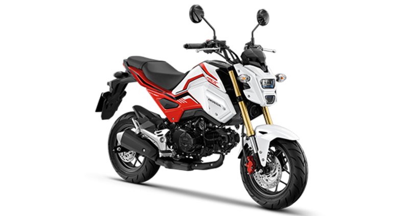 Hình ảnh xe Honda MSX 125 cực ngầu 13