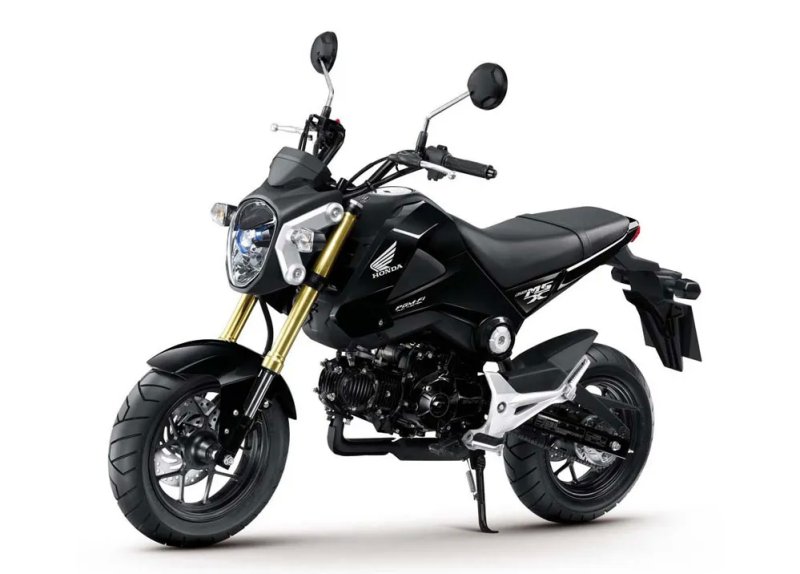 Hình ảnh xe Honda MSX 125 độc đáo 5