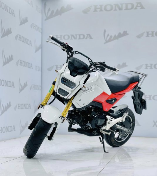 Hình ảnh xe Honda MSX 125 độc đáo 13