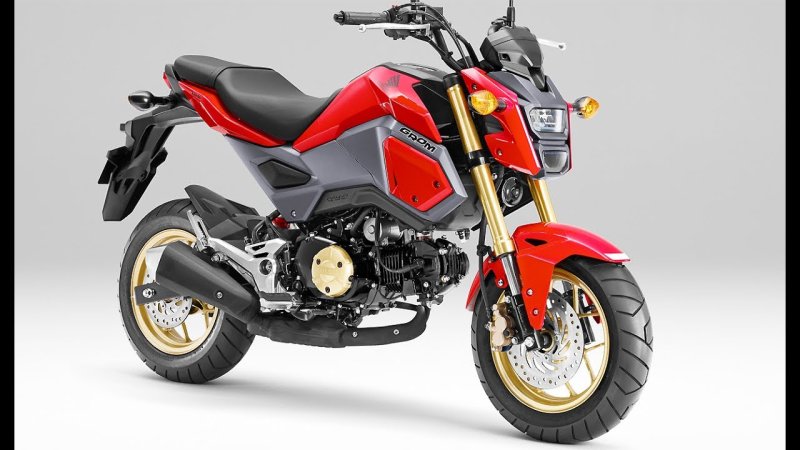 Hình ảnh xe Honda MSX 125 độc đáo 21