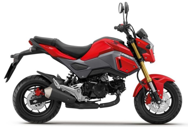 Hình ảnh xe Honda MSX 125 độc đáo 1