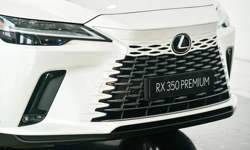 Ảnh chụp ngoại thất Lexus RX350 đẹp lung linh 5