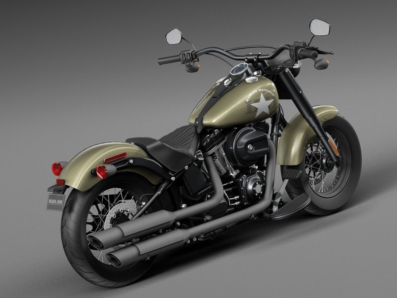 Hình ảnh xe máy Softail Slim cho các tín đồ đam mê xe 3