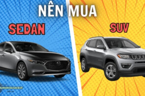 Hướng dẫn chọn mua xe Sedan hay SUV, đâu là lựa chọn tốt nhất?