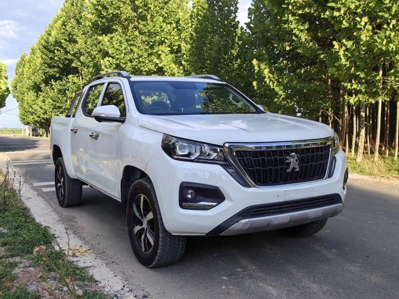 Tải hình ảnh xe Peugeot Landtrek full HD 14