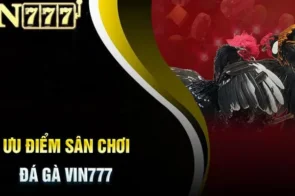 Tại sao đá gà VIN777 là sự lựa chọn hàng đầu cho người chơi?