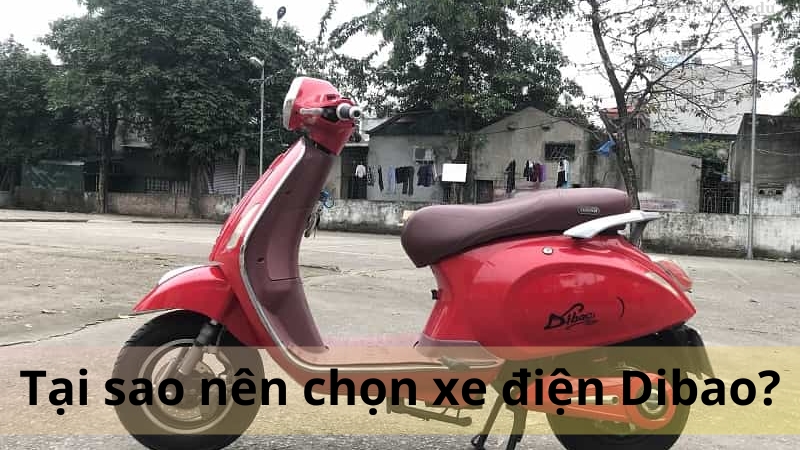 Tại sao nên chọn xe điện Dibao