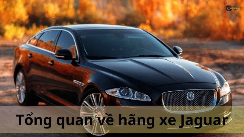 Bảng giá xe Jaguar 