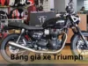 Bảng giá xe máy Triumph tháng 10: Cập nhật mới nhất 2024