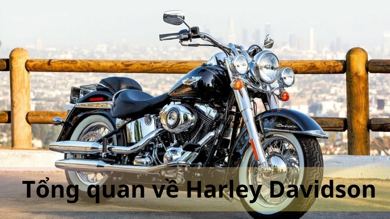 harley davidson 