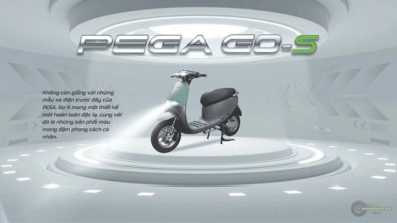 Pega Go-S