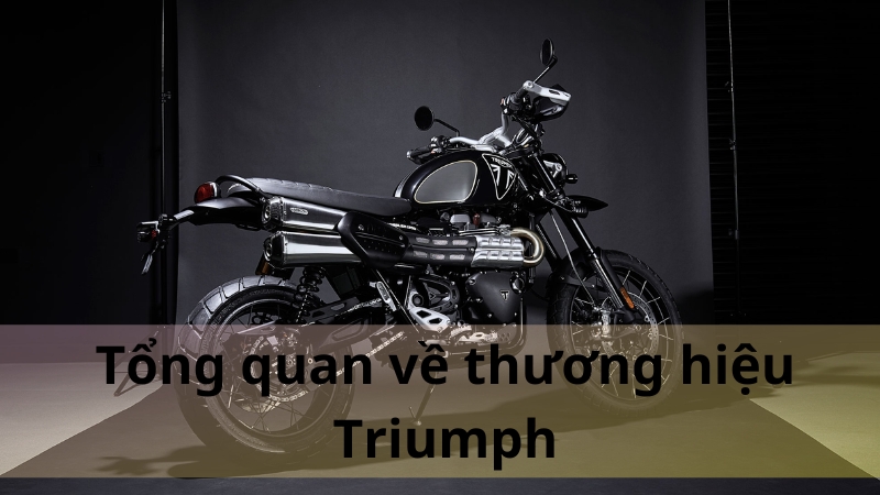 triump 1