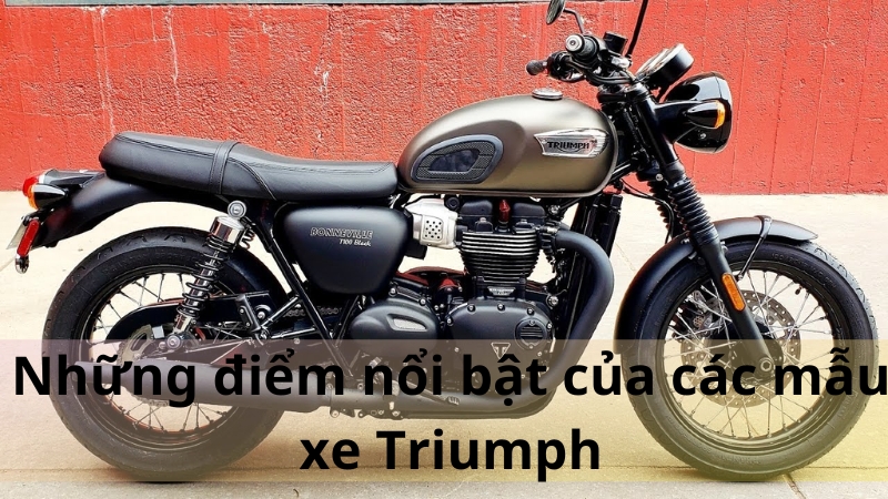 triump 2