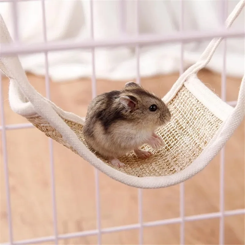 Hamster meme cute làm bạn bật cười không ngớt.