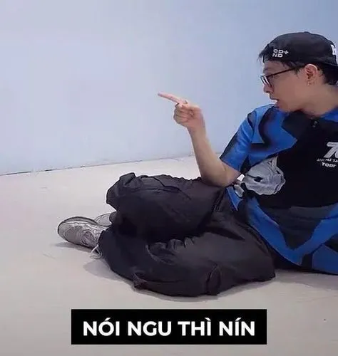 Mèo meme hài với biểu cảm khó đỡ