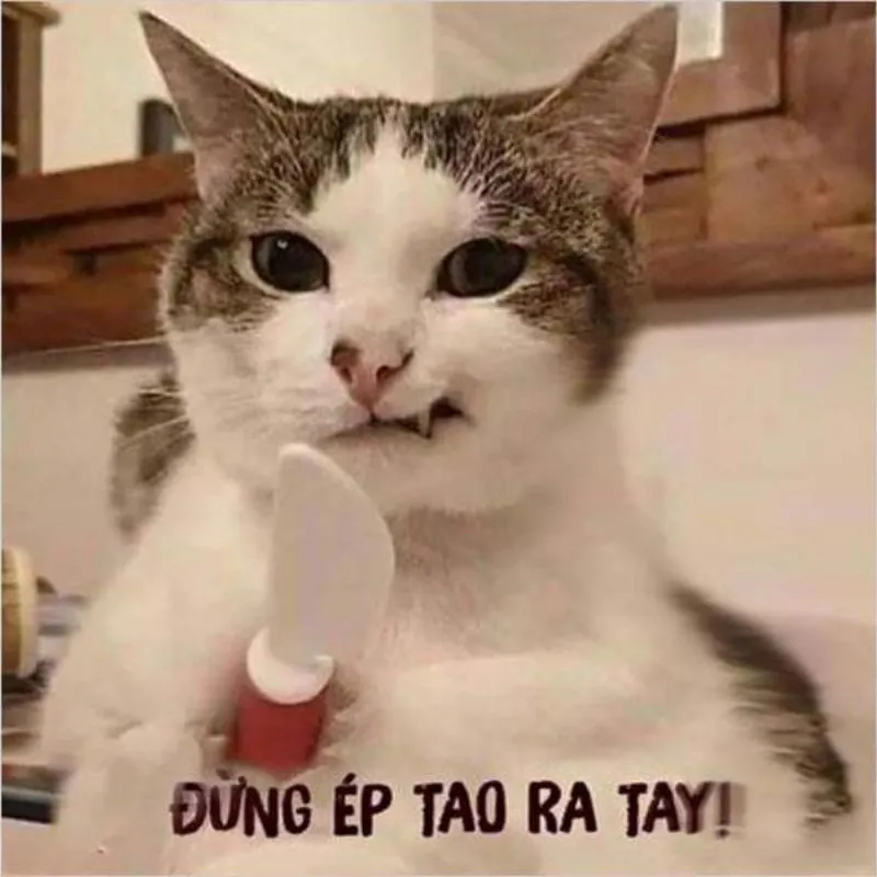 Meme bựa nhất cười đau bụng