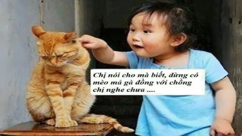 Meme cute hình icon dễ thương