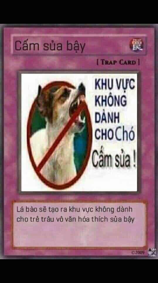 Bộ bài yugioh meme đỉnh cao cực bựa