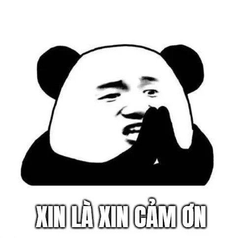 Xin cảm ơn meme gửi đến bạn lời tri ân