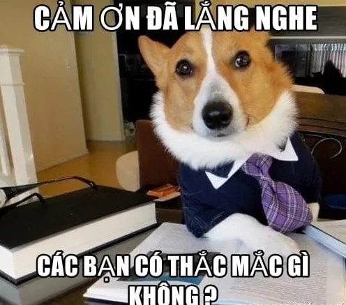 Cảm ơn đã xem meme gửi tri ân đến bạn