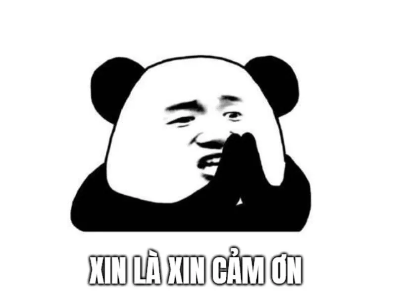 Cảm ơn bạn meme ngộ nghĩnh và hài hước