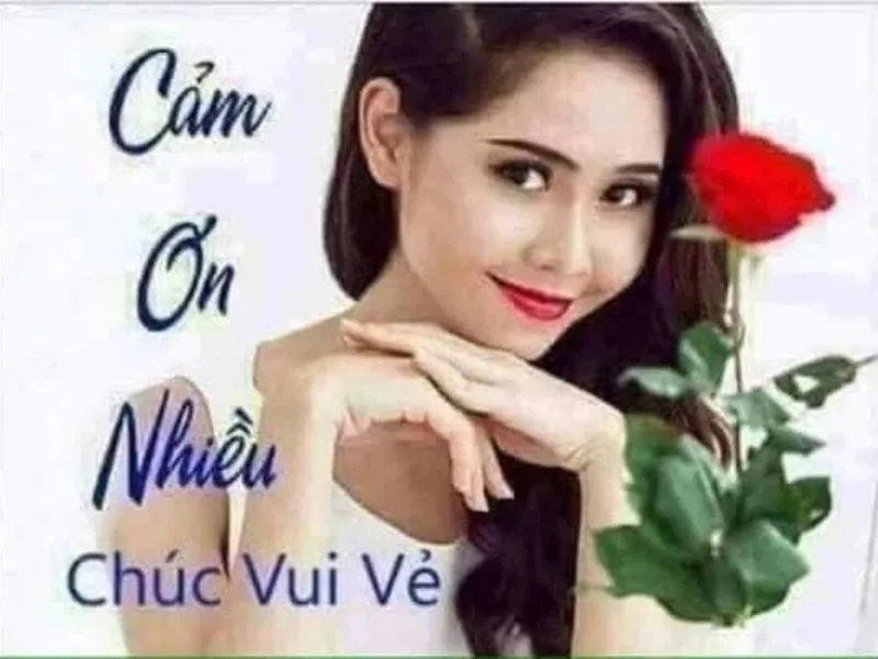 Meme cảm ơn các bạn đã lắng nghe buổi thuyết trình