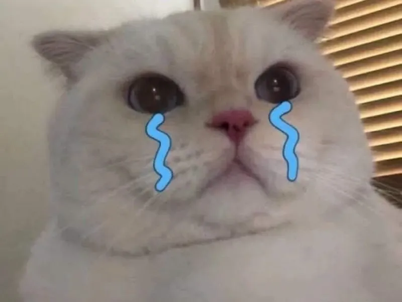 Wojak crying meme tạo ra những hình ảnh buồn nhưng cũng cực kỳ hài hước và dễ thương!