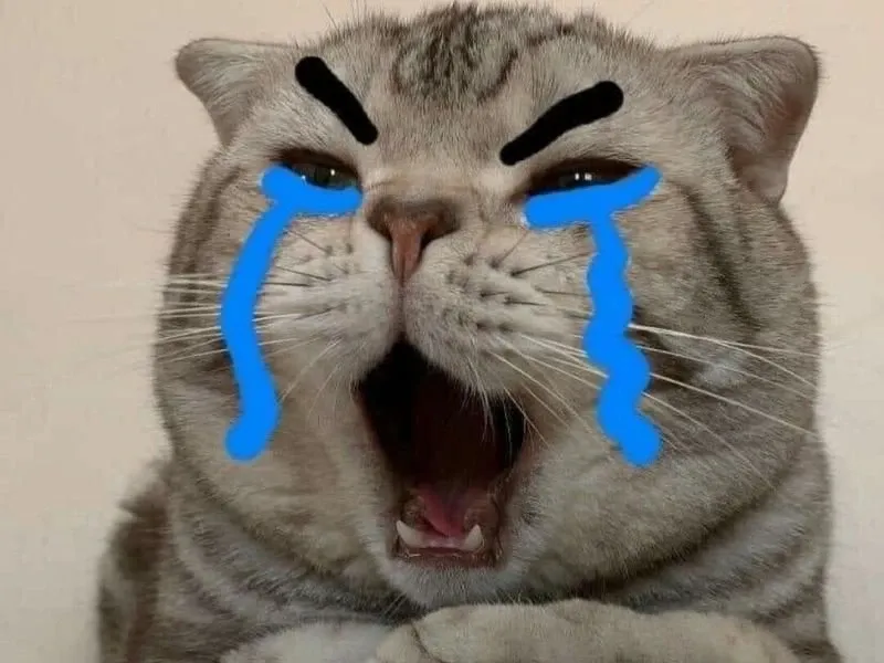 Angry crying meme là sự kết hợp giữa giận dữ và nước mắt khiến tình huống càng thú vị hơn!