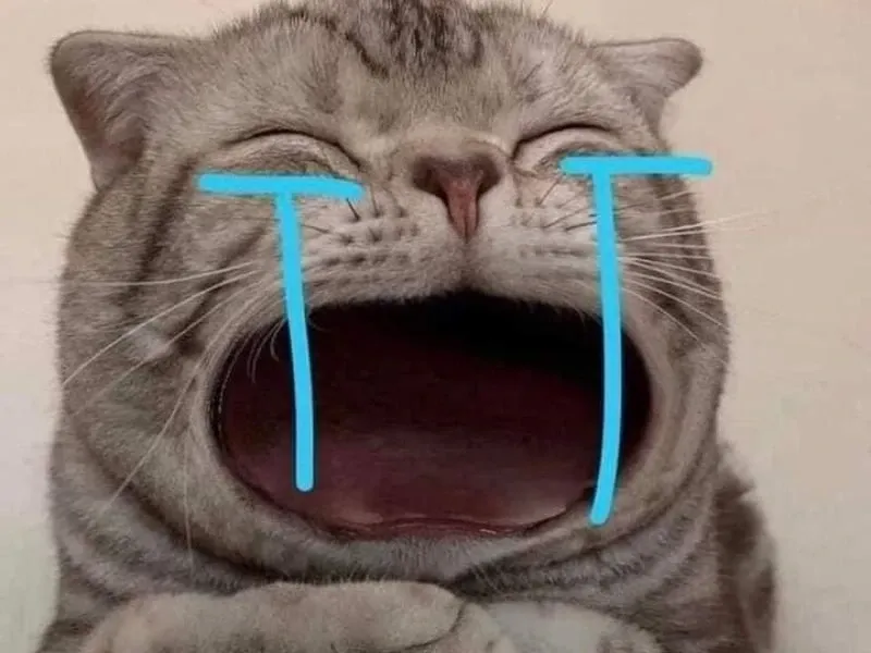 Cry laugh meme là biểu hiện hoàn hảo của những cảm xúc lẫn lộn khiến bạn không thể ngừng cười.