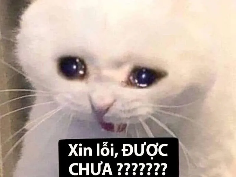 Crying meme emoji thể hiện nỗi buồn nhưng cũng đầy hài hước qua biểu tượng cảm xúc!