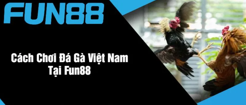 Cách Chơi Đá Gà Fun88 Tại Fun88